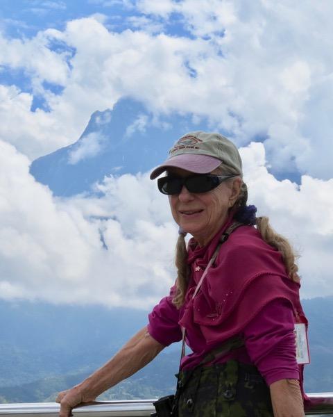 Marcyn Del Clements